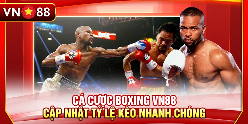 Cá Cược Boxing VN88 - Cập Nhật Tỷ Lệ Kèo Nhanh Chóng