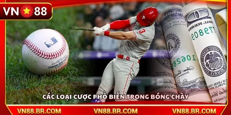 Các loại cược phổ biến trong bóng chày