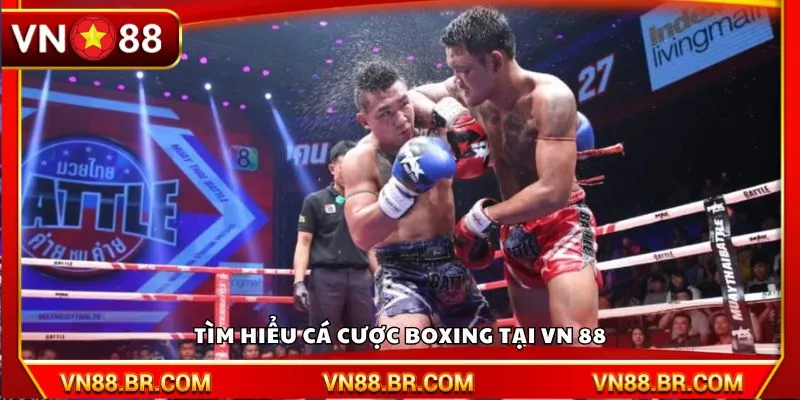 Tìm hiểu cá cược Boxing tại VN 88
