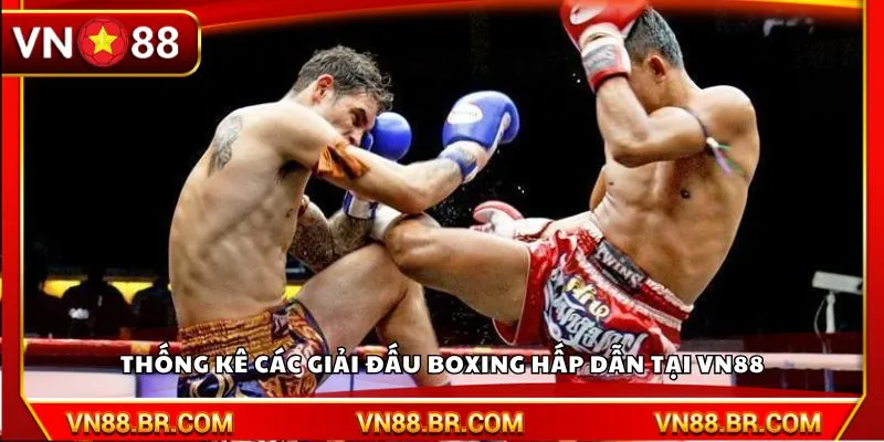 Thống kê các giải đấu Boxing hấp dẫn tại VN88