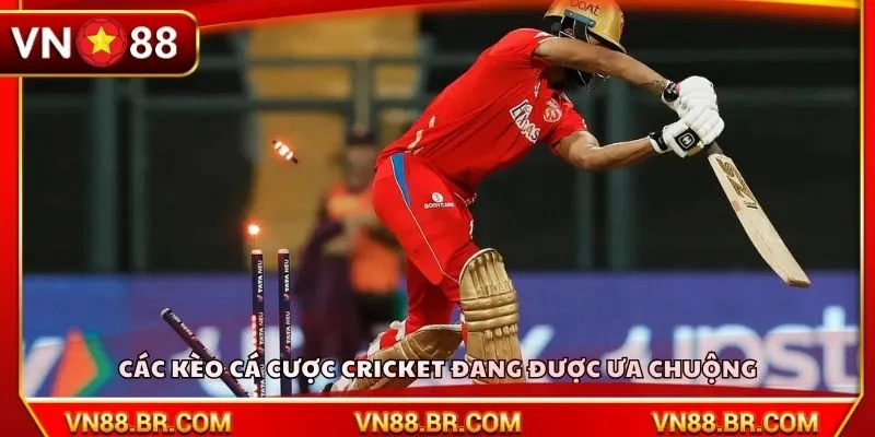Các kèo cá cược cricket đang được ưa chuộng