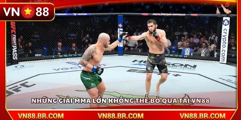 Những giải MMA lớn không thể bỏ qua tại VN88
