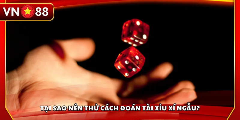 Tại sao nên thử cách đoán tài xỉu xí ngầu?